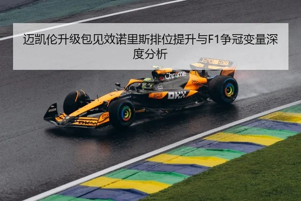 迈凯伦升级包见效诺里斯排位提升与F1争冠变量深度分析